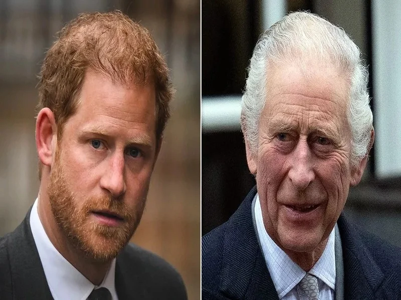 Prince Harry defames King Charles